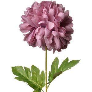 Clayre & Eef 5PL0133PA Fleur artificielle Violet...