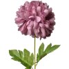 Clayre & Eef 5PL0133PA Fleur artificielle Violet 15x15x80 cm