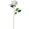 Clayre & Eef 6PL0359W Fleur artificielle Rose 8x8x50 cm