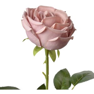 Clayre & Eef 6PL0369A Fleur artificielle Rose Violet...