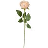 Clayre & Eef 6PL0369O Fleur artificielle Rose 9x9x61 cm