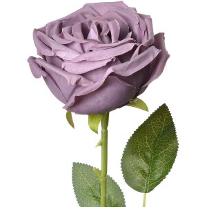 Clayre & Eef 6PL0369PA Fleur artificielle Rose Violet...