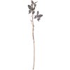 Clayre & Eef 50811 Décoration Branche avec papillons Noir Marron 85 cm