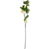 Clayre & Eef 5PL0141 Déco Branche de citron jaune vert 10x7x73 cm