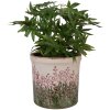 Clayre & Eef 6CE2017L Pot de fleurs en céramique Beige Vert Rouge Ø 18x17 cm Maison de campagne