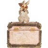 Clayre & Eef Boîte à décorer Figurine de lapin Polyrésine Beige Rose Or 12x8x16 cm