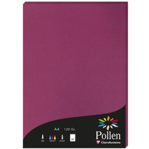 Papier A4 Pollen 120g 50 feuilles framboise