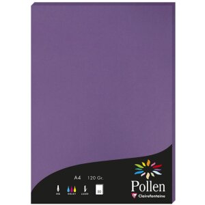 Papier A4 Pollen 120g 50 feuilles violet