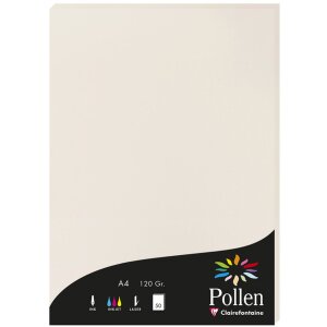 Papier A4 Pollen 120g 50 feuilles gris clair