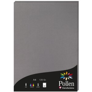 Papier A4 Pollen 120g 50 feuilles gris foncé