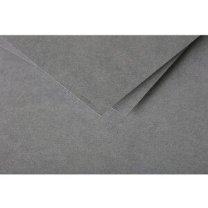 Papier A4 Pollen 120g 50 feuilles gris foncé