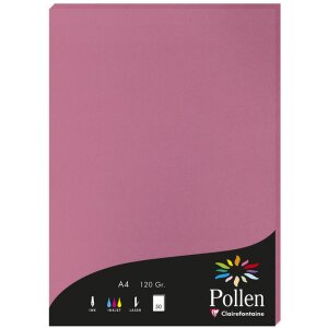 50 feuilles de papier Pollen, DIN A4, 120g rose hortensia