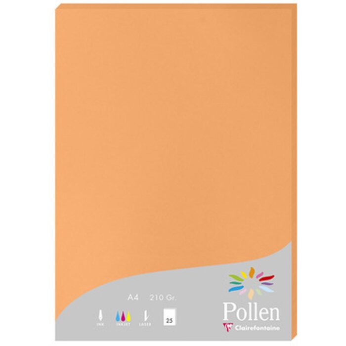 Papier A4 Pollen 210g Clementine 25 feuilles