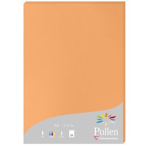 Papier A4 Pollen 210g Clementine 25 feuilles