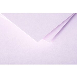 Papier A4 Pollen 210g lilas 25 feuilles