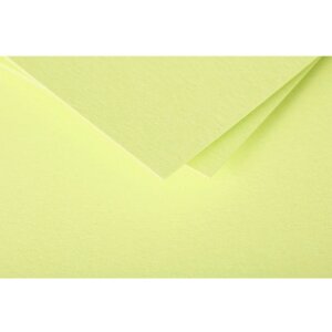 25 feuilles de papier Pollen, DIN A4, 210g vert bourgeon