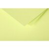 25 feuilles de papier Pollen, DIN A4, 210g vert bourgeon