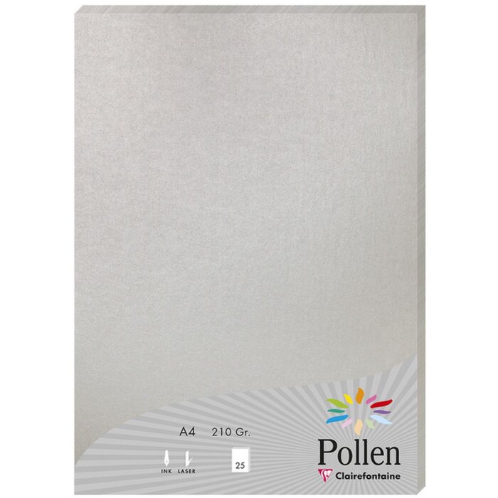 Papier A4 Pollen 210g argenté 25 feuilles