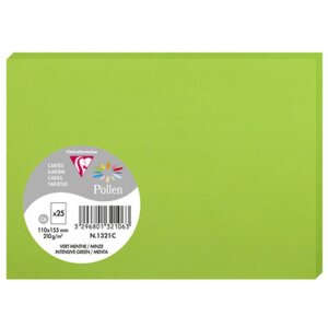 Carte C6 Pollen 210g Menthe