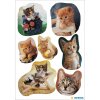 Des autocollants chatons ludiques de decor