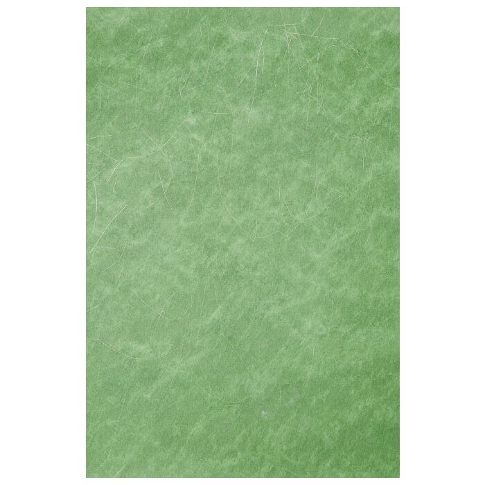 Papier 70x100 cm intissé fils dargent vert