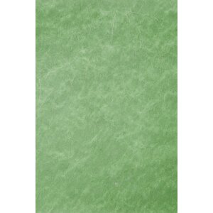 Papier 70x100 cm intissé fils dargent vert