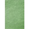 Papier 70x100 cm intissé fils dargent vert